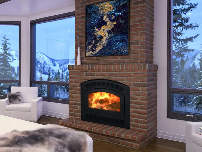 Kozy Heat Wood burning Fireplace: Albany