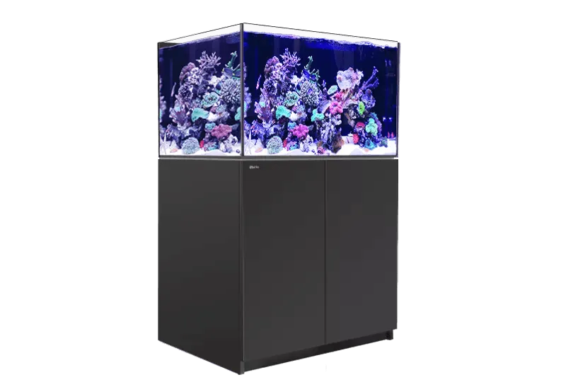 Red Sea Reefer 300 G2 