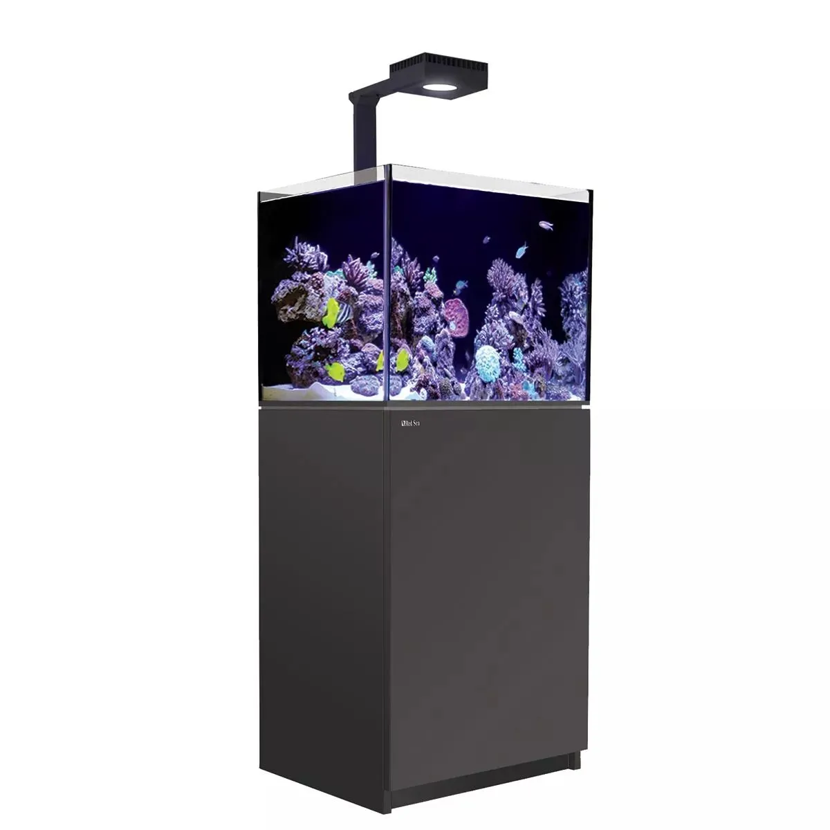 Reefer MAX 170 G2  System (33 Gal)